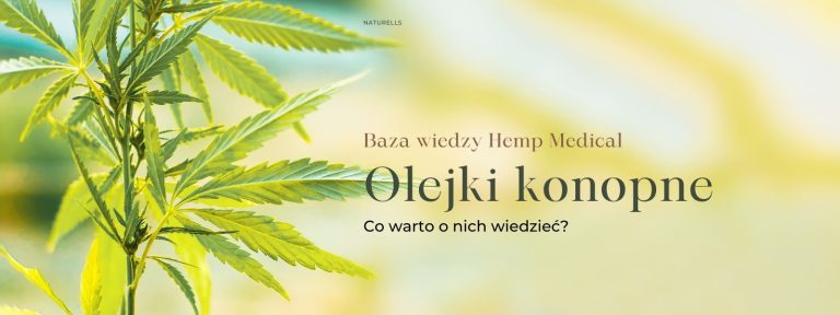 Olejki konopne. Co warto o nich wiedzieć?